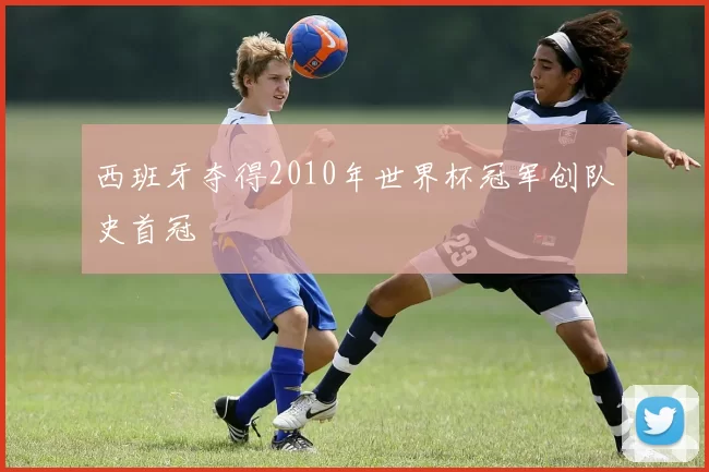 西班牙夺得2010年世界杯冠军创队史首冠