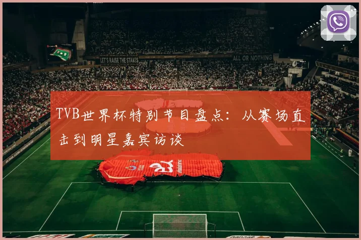 TVB世界杯特别节目盘点：从赛场直击到明星嘉宾访谈